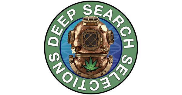 Deep Search Selections | Deep Diver Logo 