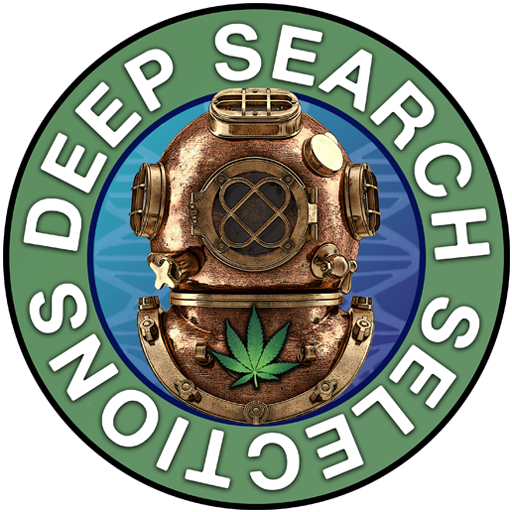 Deep Search Selections